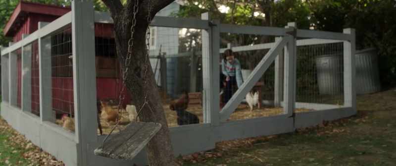 [chickens clucking]