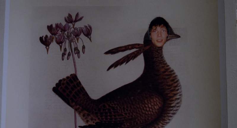 Chickenshit