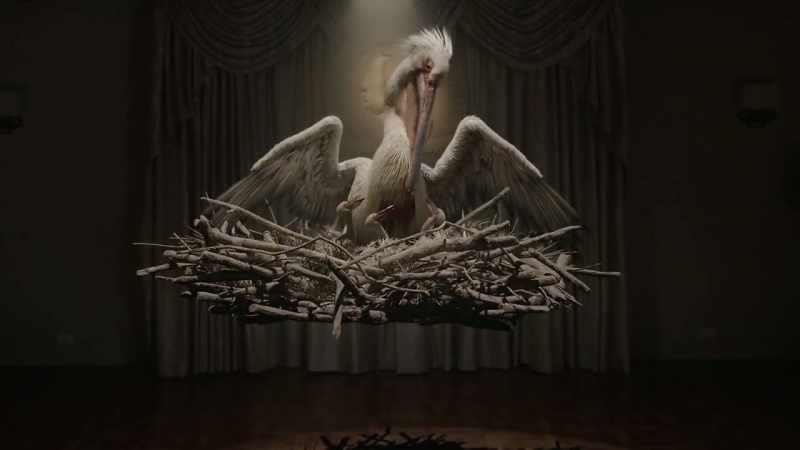 [chicks cheeping]