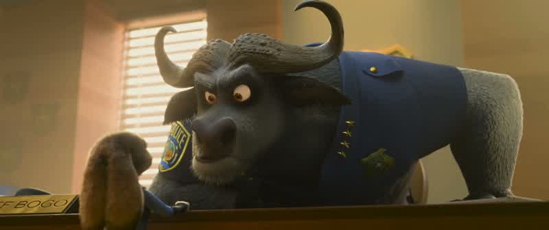 Chief Bogo please Five minutes of your timeI'm sorry sirI tried to stop her She is super slipperyI gotta go sit down