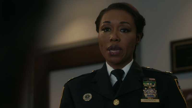Chief Donaldson, you seem to take delight