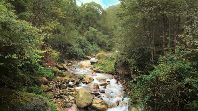 China is creating a new giant panda national park