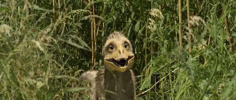 [chirping]