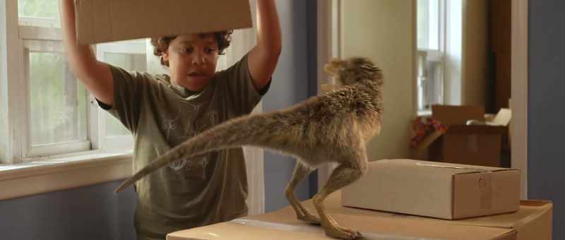 [chirps]
