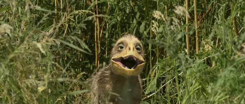 [chirps]