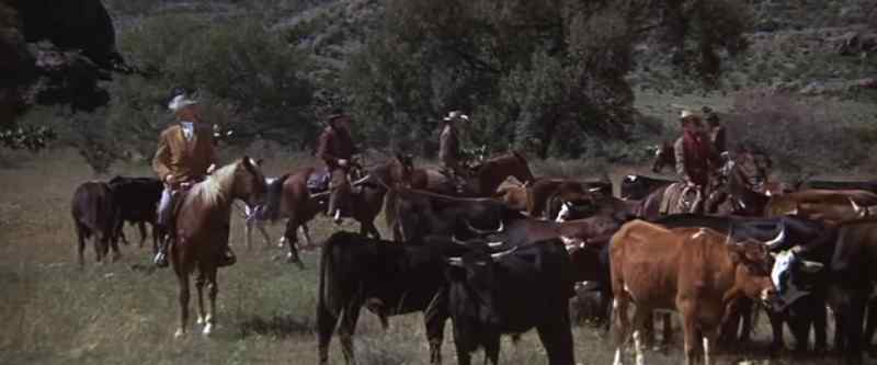 Chisum's again. Another jinglebob, sir