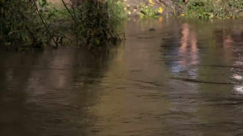 CHRIS: Look how much this river's come overnight