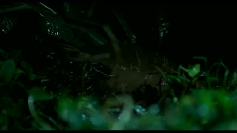 CHRIS: Maybe I finally found it, way down here in the mud