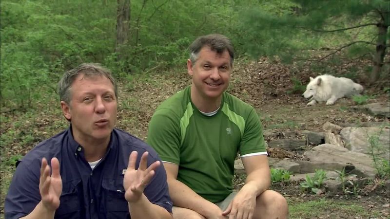 CHRIS: So wolves are top predators here on land