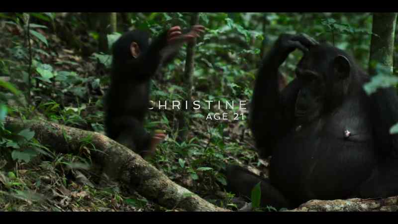 Christine's baby is about six months old