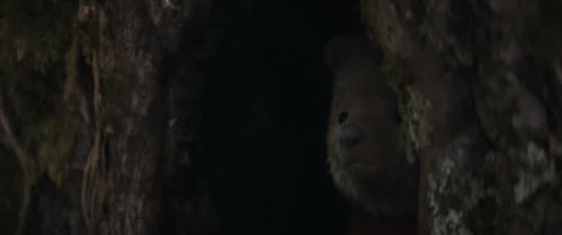 Christopher?
