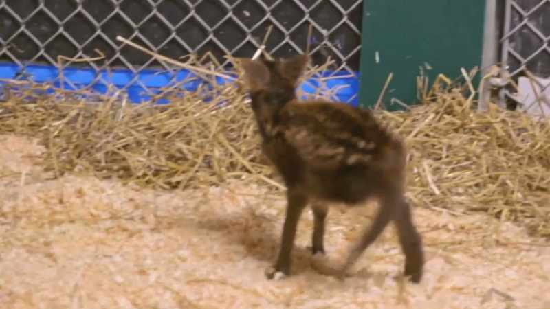 Christy: A baby that's not even two weeks old