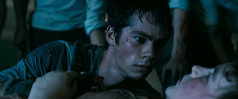 Chuck. Chuck? Hey. Hey, Chuck, come on! Come on, wake up!