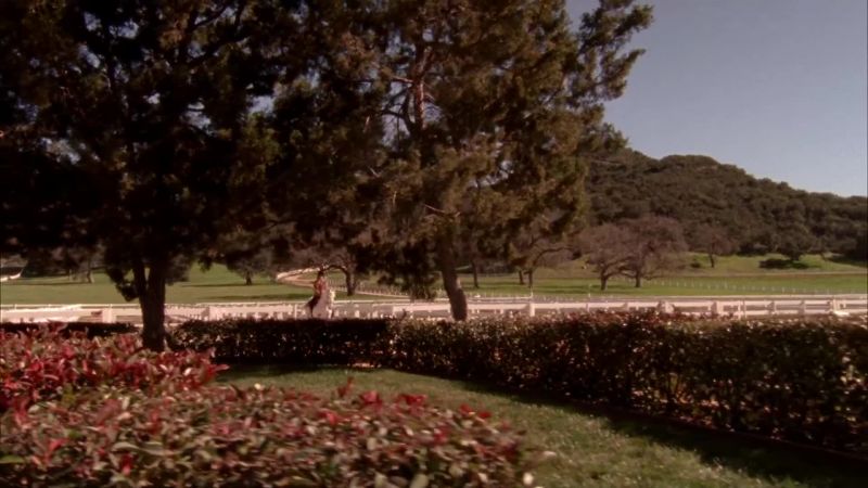 Chuck, I've reached the stables