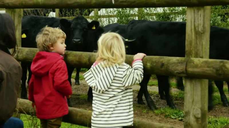 [chuckles] I think the cows want to talk to the children