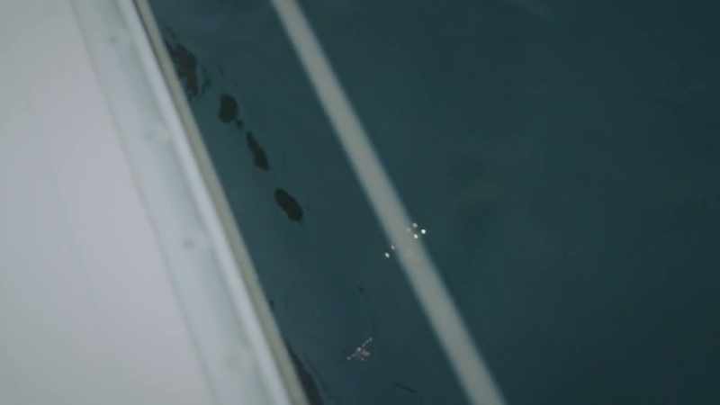 CINDRIC: Captain Ivan found the tracker