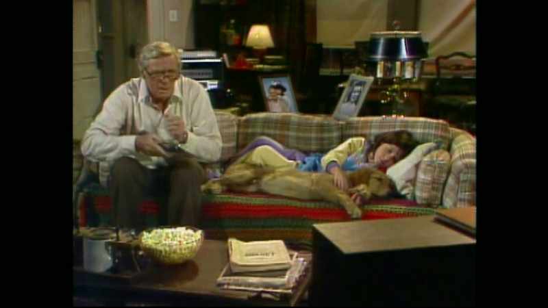 [clamoring on TV]