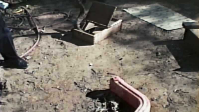 CLARENCE: The biggest one, a big diamondback