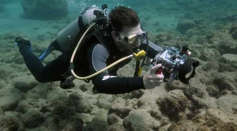 Clarke: Through modern archaeology