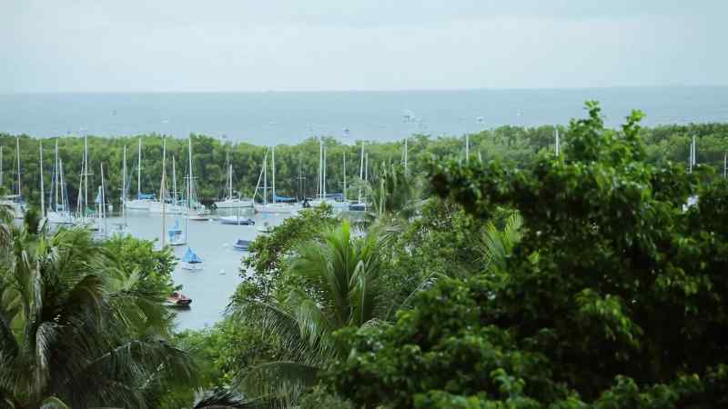 [Classical music playing]