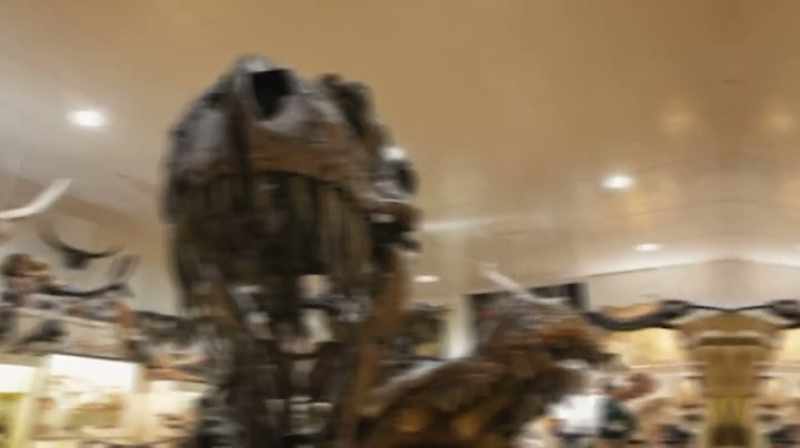 Clayton: MOSTLY IT'S MUSEUMS THAT CAN RAISE THE MONEY