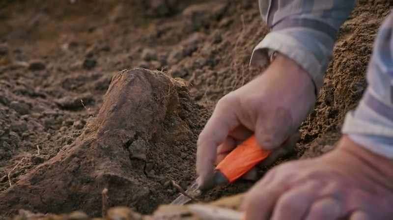 Clayton: WE DID A LITTLE BIT OF DIGGING NOW