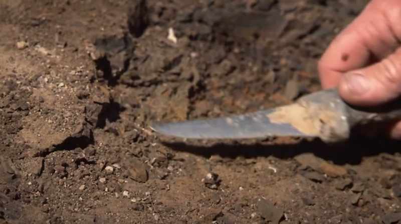 Clayton: WE HAVE ABOUT 40 BONES
