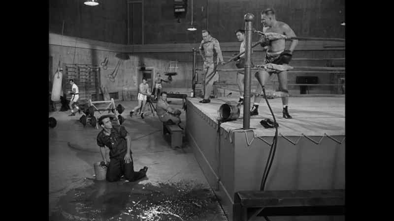 Clean up the mess, Prewitt