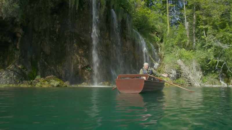 Clear, oxygen-rich water