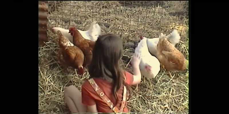CLEMENTINE: Crazy dancing is how hens and roosters