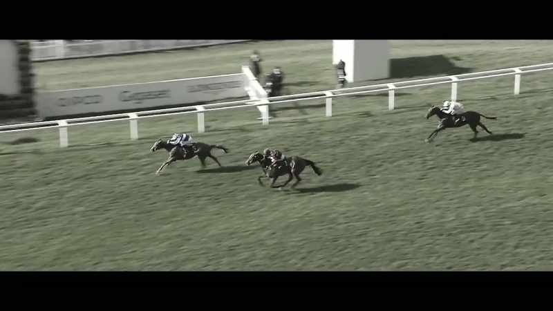 Cleonte a welcome winner for Andrew Balding