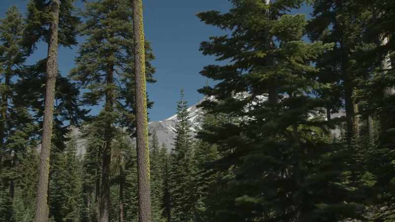 CLIFF: Walking Eagle’s story sounds eerily