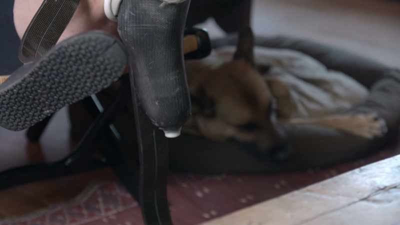 clip-tt7879350-s0e0