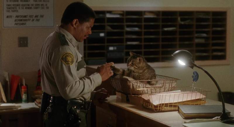 Clovis here got a good look at him and he didn't like him
