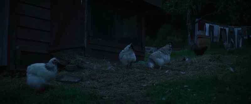 (Clucking)