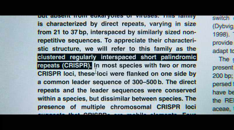 Clustered regularly interspaced