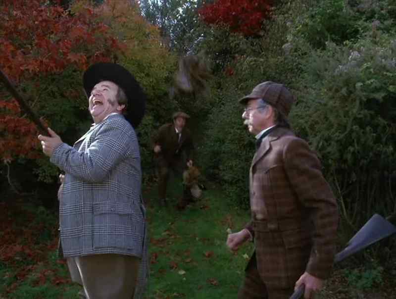 Cock pheasant, sir!