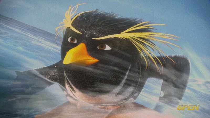 Cody Maverick was set to become the biggest surfer