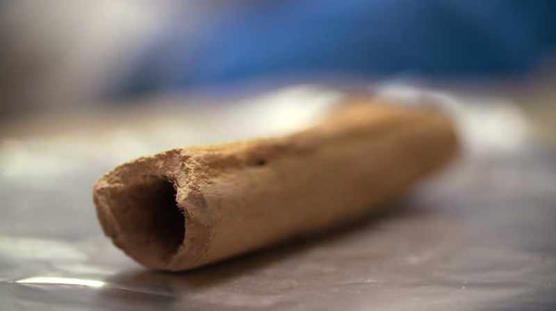Collagen is a protein which is very important for the bones