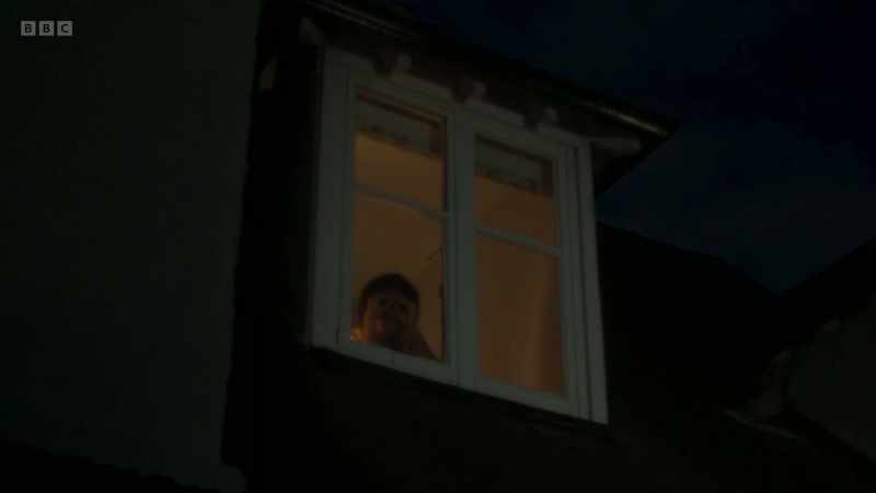Come away from the window, pigeon
