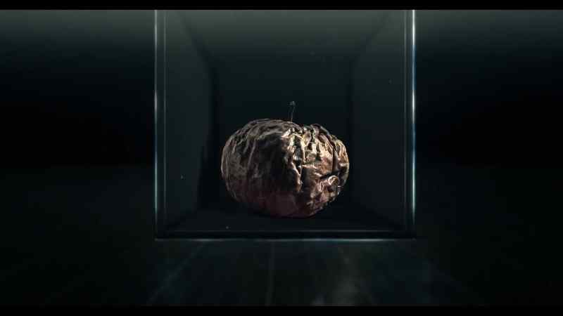 Come back in a year, the apple is a real mess