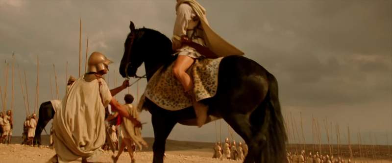 Come Bucephalus Today we ride to our destiny