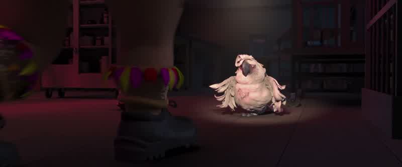 Come here, poor little birdie