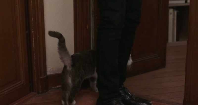Come here, Rocco. Who's Daddy's boy?