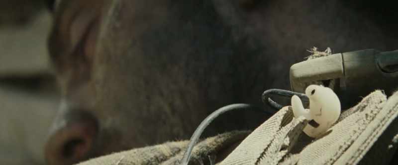 Come in