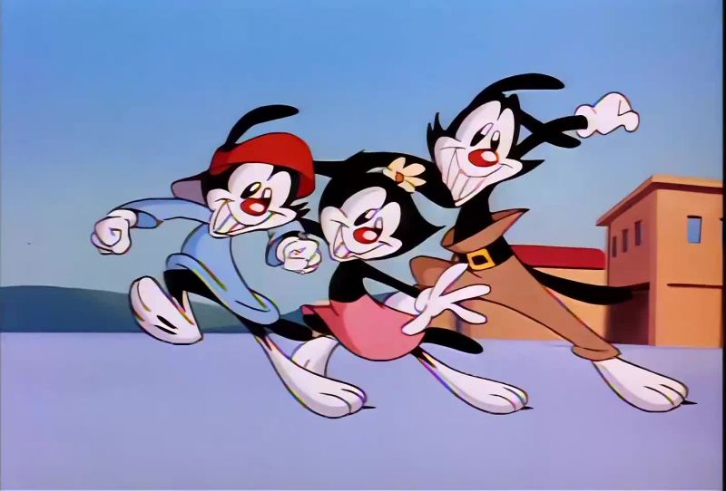 Come join the Warner brothers