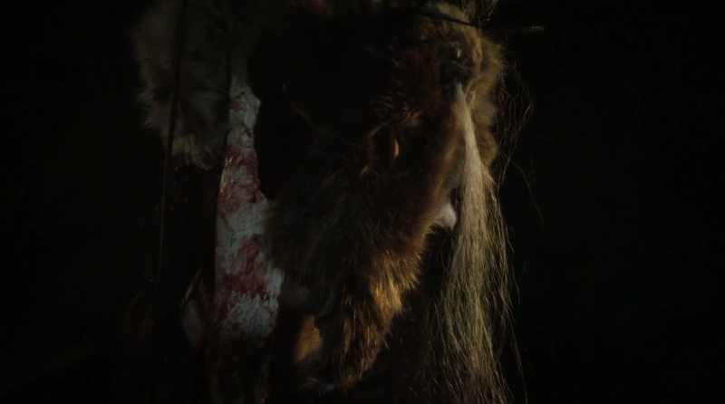 Come, let me guide you with my light