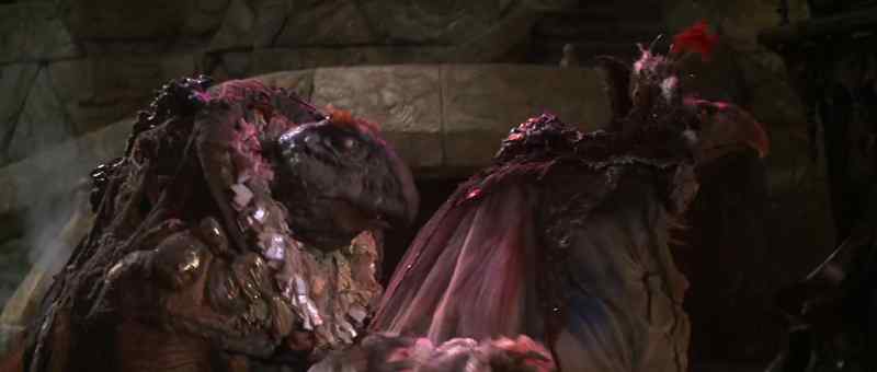 Come and look! Such an ugly monster!