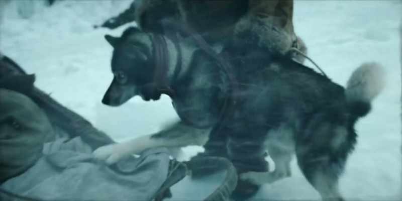 Come now, for once ride in the sled