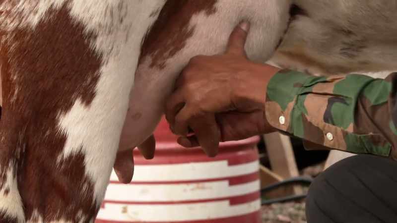 Come on, baby. Gimme some milk. -30 seconds